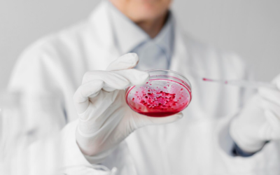 The Science Behind Regenerative Healing: How Your Body Knows to Repair Itself
